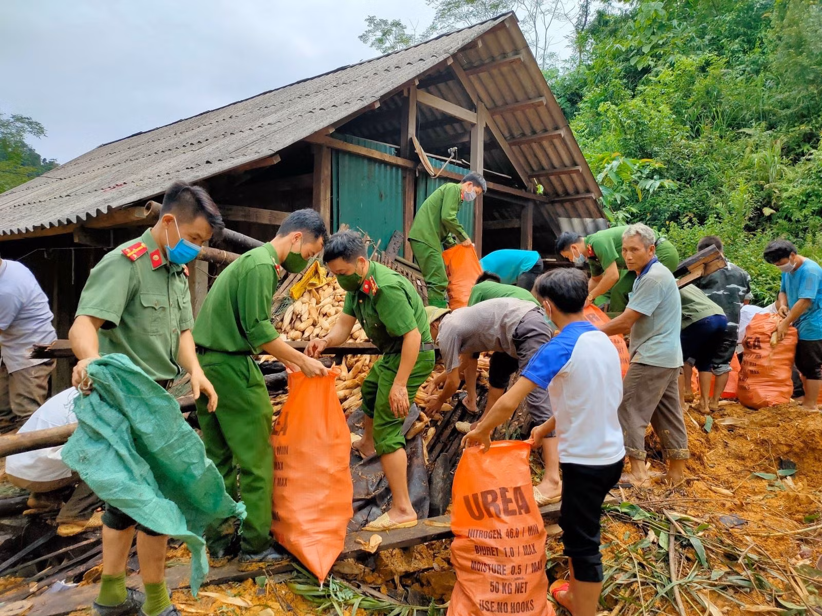 Chủ động phòng ngừa, ứng phó thiên tai những tháng cuối năm 2022 ảnh 1