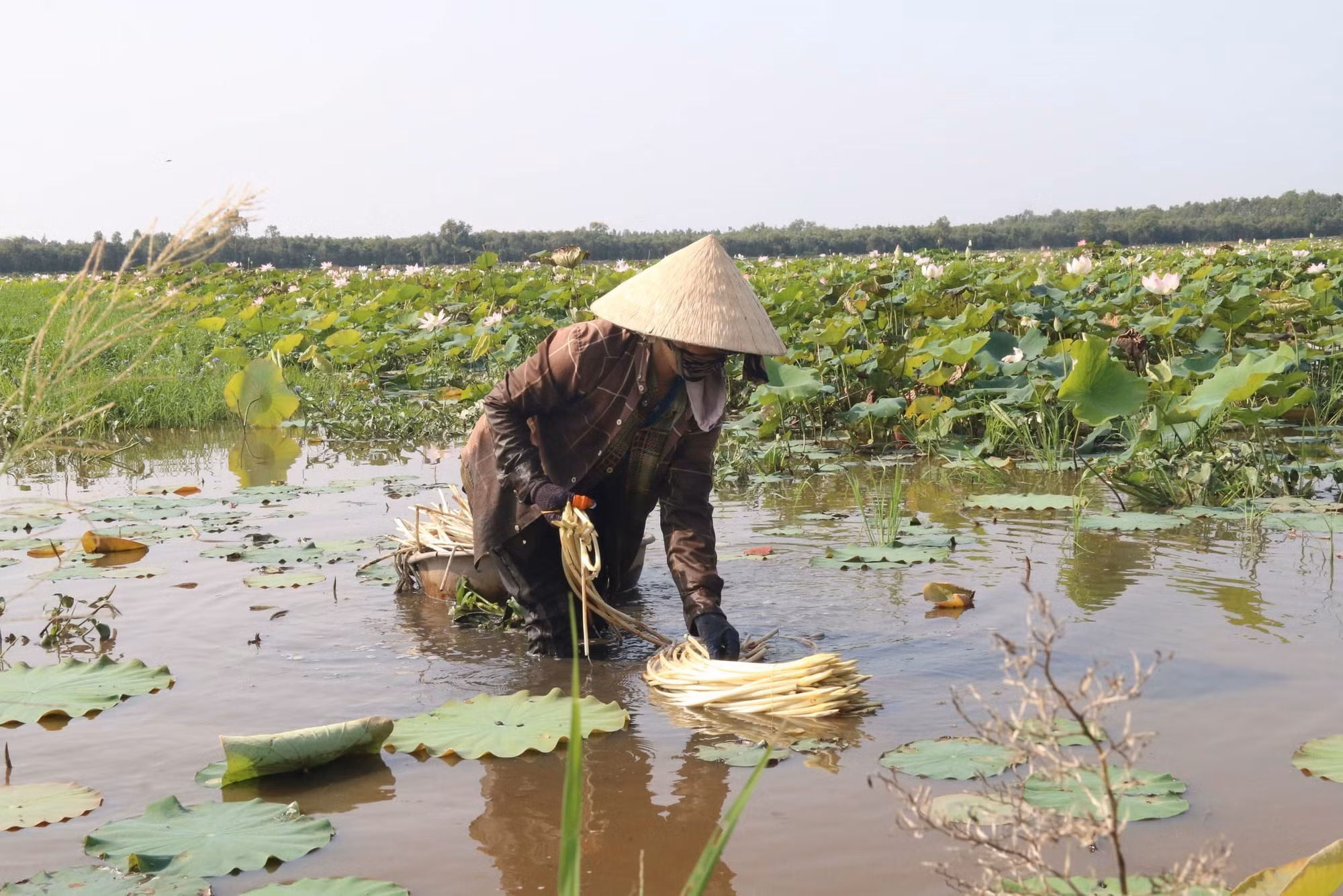 Vùng đầu nguồn sông Tiền chủ động chung sống với lũ ảnh 1