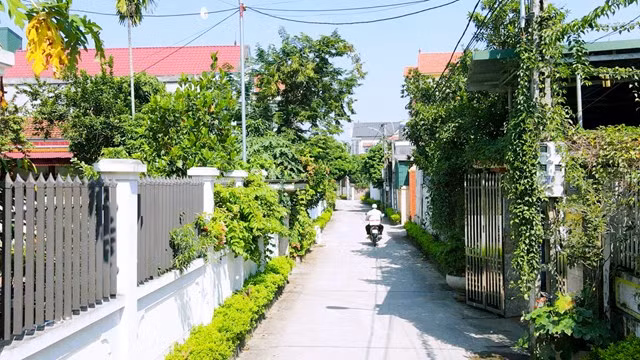 Vĩnh Phúc hướng tới xây dựng nông thôn mới nâng cao, kiểu mẫu ảnh 2