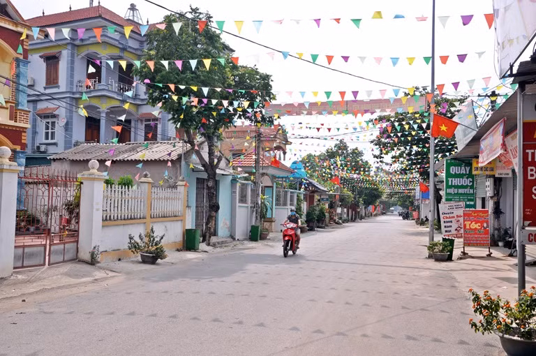 Vĩnh Phúc hướng tới xây dựng nông thôn mới nâng cao, kiểu mẫu ảnh 1