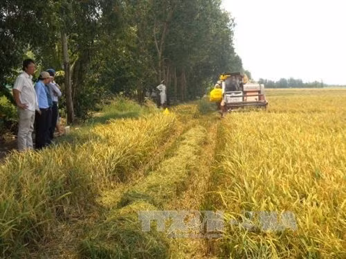 Bạc Liêu triển khai nhiều chương trình trợ giúp xã hội ảnh 1