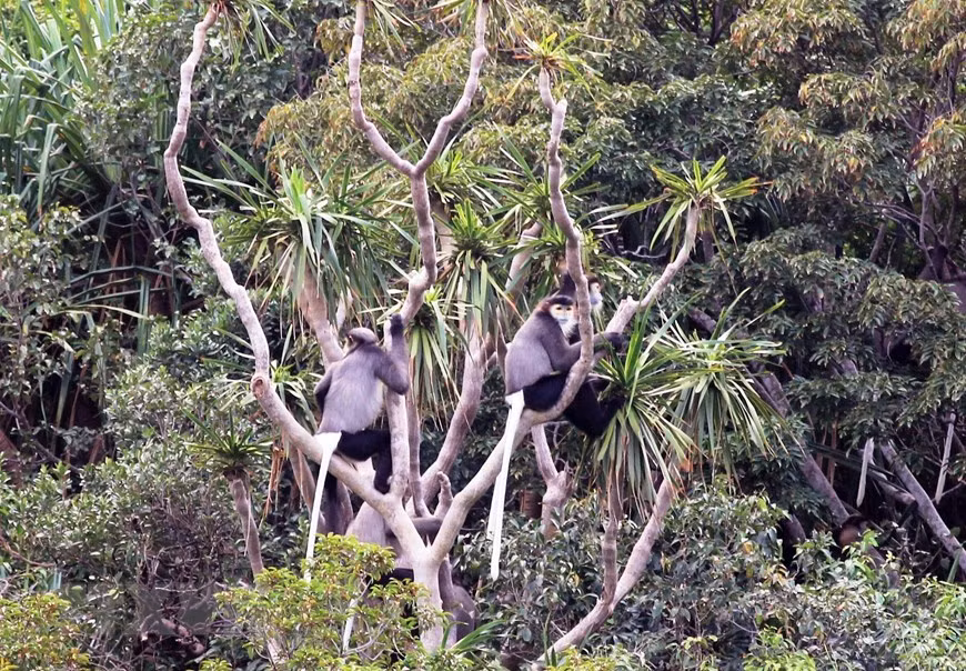 UNESCO công nhận thêm 20 khu dự trữ sinh quyển thế giới ảnh 1