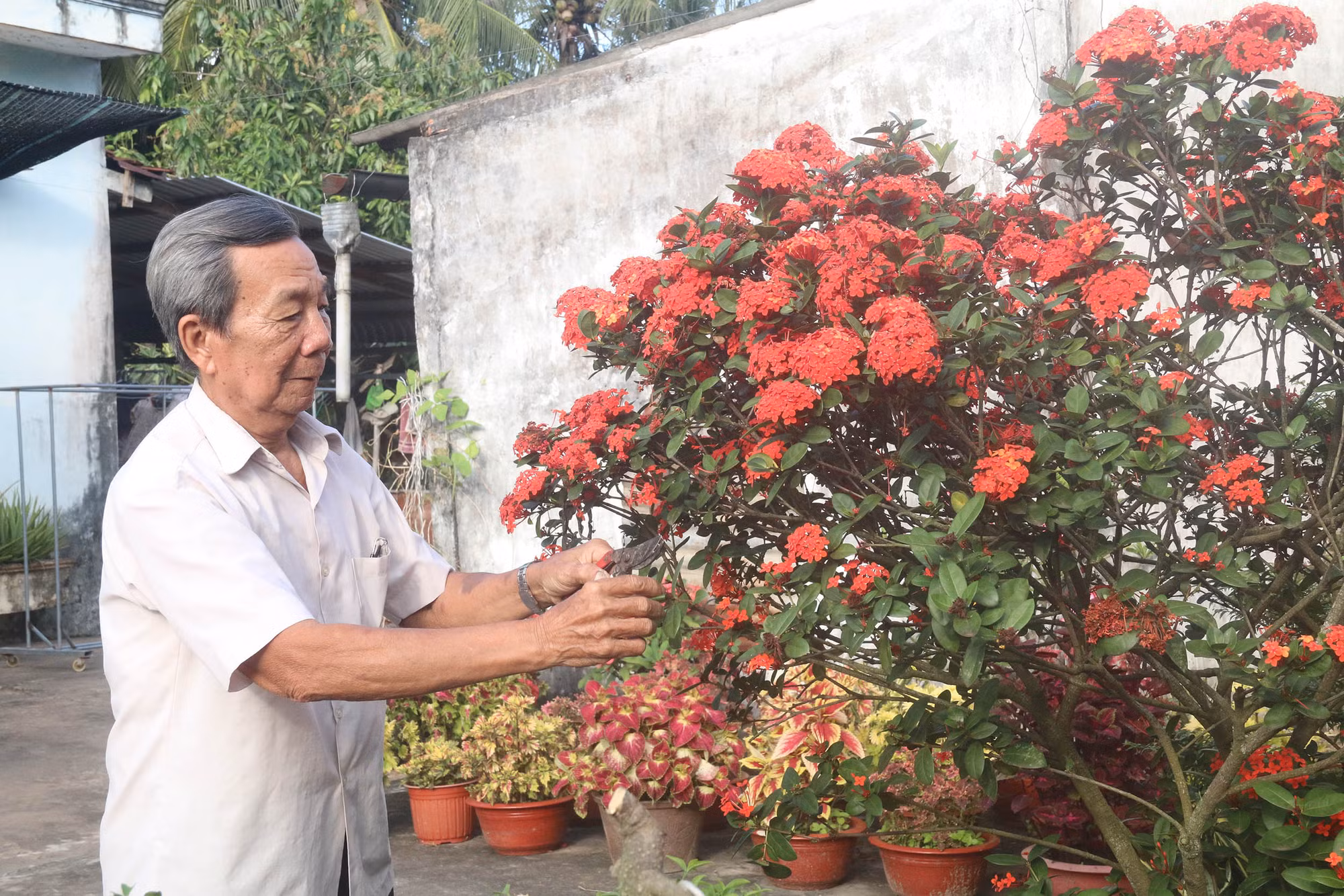 Ông Nguyễn Văn Đức đưa khoa học công nghệ về ruộng đồng Ấp Bắc, giành những vụ mùa bội thu ảnh 2
