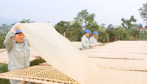 Lào Cai phát triển sản phẩm OCOP vì sức khỏe cộng đồng ảnh 2