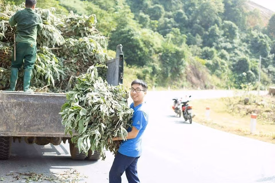 Anh thanh niên người Tày An Văn Tuấn làm giàu từ cây cỏ dân dã vườn nhà ảnh 2