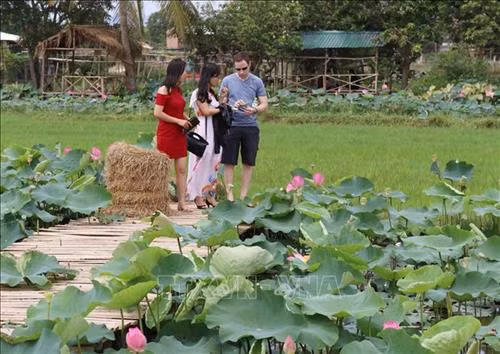Du khách tham quan, trải nghiệm tại Khu du lịch văn hóa sinh thái Sen Charaih Ninh Thuận (thị trấn Phước Dân, huyện Ninh Phước). Ảnh: Nguyễn Thành - TTXVN