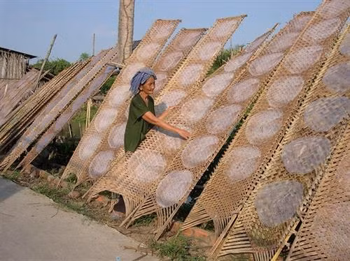 Làng nghề làm bánh tráng Tết cho thu nhập cao ở Cần Thơ ảnh 6