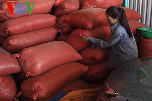 Chị Y Hếp kiểm tra kho cà phê của gia đình. Ảnh: vov4.vov.vn
