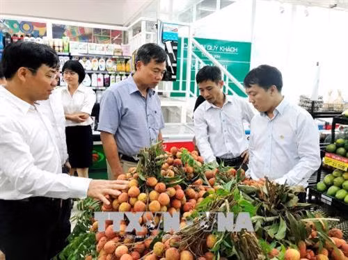 Sản phẩm vải Thiều đặc sản được kinh doanh phổ biến tại Thành phố Hồ Chí Minh. Ảnh: Mỹ Phương - TTXVN