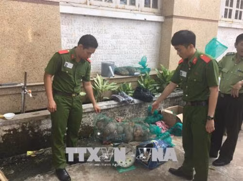 Bắt giữ động vật hoang dã tại tỉnh Bình Dương bắt giữ. Ảnh : Nguyễn Văn Việt -TTXVN