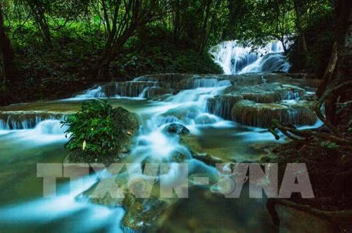 Vẻ đẹp thơ mộng của Thác Mơ từ lâu đã trở thành biểu tượng du lịch của huyện Na Hang – Tuyên Quang là nơi dừng chân của du khách khi du lịch nơi đây. Truyền thuyết Thác Mơ là câu chuyện đầy cảm động về vợ chồng nàng Mơ sinh sống dưới chân núi Pắc Ban. Một ngày, người chồng đi hái thuốc trong rừng mà mãi không về. Nàng Mơ thương nhớ không nguôi nên liều mình băng rừng đi tìm chồng nhiều ngày rồi lạc lối, và hóa thành một dòng thác trắng xóa. Ảnh: Trọng Đạt – TTXVN