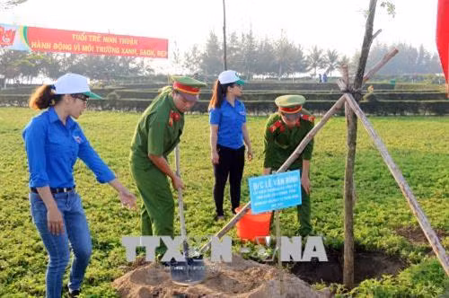 Đoàn viên, thanh niên tỉnh Ninh Thuận cùng trồng cây xanh trong khuôn viên biển Bình Sơn-Ninh Chử. Ảnh: Công Thử - TTXVN