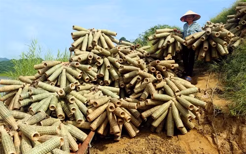 Rọ tôm được vận chuyển đi bán cho các xã lân cận trong vùng lòng hồ thủy điện Thác Bà.