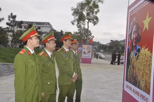 Các đại biểu tham quan triển lãm. Ảnh: Hương Thu-TTXVN