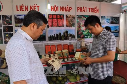 Khách tham quan Hội chợ. Ảnh: Dương Chí Tưởng-TTXVN