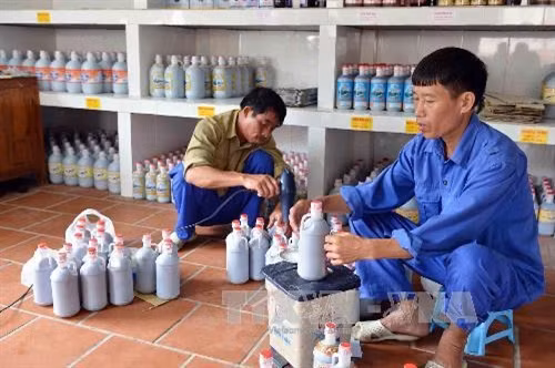 Đóng chai nước mắm tại cơ sở Quang Hải, một trong hai thương hiệu chế biến nước mắm nổi tiếng và là một trong những cơ sở sản xuất nước mắm lớn có uy tín về chất lượng sản phẩm của Công ty. Ảnh Thanh Hà – TTXVN