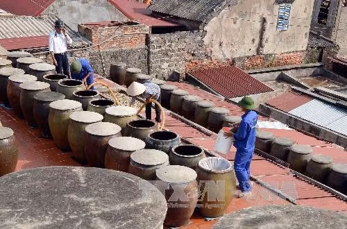 Cơ sở Quang Hải, cơ sở sản xuất nước mắm lớn có uy tín về chất lượng sản phẩm với thương hiệu "Nước mắm Quang Hải" - một trong hai thương hiệu chế biến nước mắm nổi tiếng của Công ty. Ảnh Thanh Hà – TTXVN