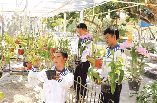 Chiến sĩ đảo Song Tử Tây chăm sóc vườn lan