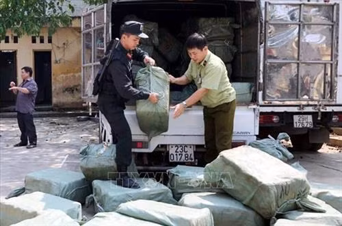 Lực lượng chức năng kiểm đếm số hàng bị bắt giữ. Ảnh: Thái Thuần-TTXVN