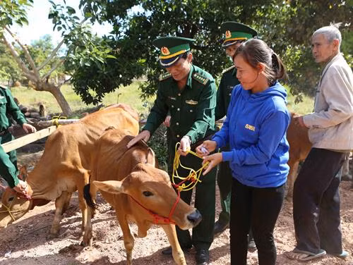 Đại diện Bộ đội Biên phòng trao bò sinh sản cho hộ nghèo của xã Ia Lốp, huyện Ea Súp, tỉnh Đắk Lắk. Ảnh: Dương Giang - TTXVN Bộ đội Biên phòng Đắk Lắk giúp nhân dân huyện Buôn Đôn thu hoạch lúa. Ảnh: Dương Giang - TTXVN Bộ đội Biên phòng Đắk Lắk giúp nhân dân huyện Buôn Đôn thu hoạch lúa. Ảnh: Dương Giang - TTXVN Bộ đội Biên phòng tỉnh Đắk Lắk dạy lớp học xóa mù chữ cho trẻ em tại xã Ia R'vê, huyện Ea Súp. Ảnh: Dương Giang - TTXVN Quân và dân xã Ia R’vê sửa chữa đường nông thôn. Ảnh: Dương Giang - TTXVN Lực lượng biên phòng giúp dân xã Ia R’vê sửa chữa đường nông thôn. Ảnh: Dương Giang - TTXVN Lực lượng biên phòng giúp dân xã Ia R’vê sửa chữa đường nông thôn. Ảnh: Dương Giang - TTXVN Đại diện Bộ đội Biên phòng trao bò sinh sản cho hộ nghèo của xã Ia Lốp. Ảnh: Dương Giang - TTXVN