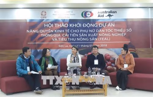 Các đại biểu tham gia thảo luận. Ảnh: Nguyễn Chiến - TTXVN
