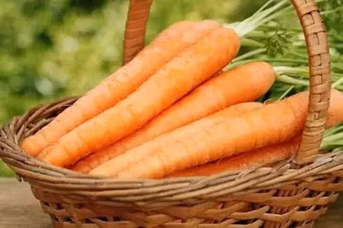 Không được ăn cà rốt cùng với các trái cây có tính a xít như cam, táo, nho...