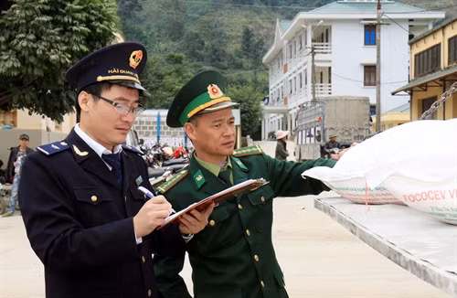 Kiểm tra hàng hóa trước khi thông quan.