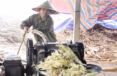 Gia đình chị Trương Thị Hiền và anh Trương Văn Hòa là hai trong số nhiều hộ dân của xóm 13, xã Nghĩa Hưng, huyện Nghĩa Đàn được vay 30 triệu đồng vốn ưu đãi để mua máy móc, xây dựng lò ép mía nấu mật, giải quyết việc làm cho 5 lao động với thu nhập 200 nghìn đồng/người/ngày