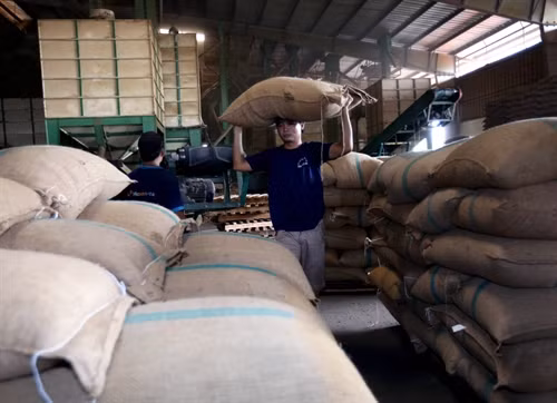 Cà phê - một trong những mặt hàng xuất khẩu chủ lực của nông nghiệp Việt Nam