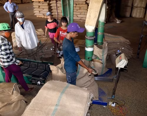 Đóng gói cà phê xuất khẩu của Tổng công ty Cà phê Việt Nam tại tỉnh Bình Dương.