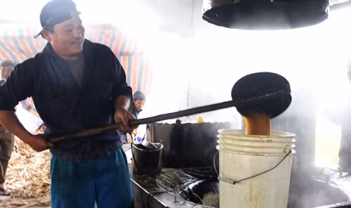 Mỗi ngày lò mật mía của gia đình chị Hiền, anh Hòa sản xuất 3 phi mật, mang lại giá trị kinh tế rất cao