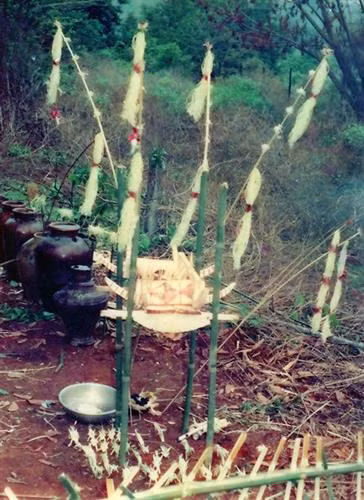 Đàn cúng của người M'nông trong nghi lễ cúng ngõ