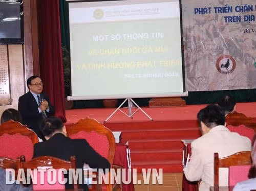PGS.TS Bùi Hữu Đoàn - Học viện Nông nghiệp Việt Nam trình bày về đặc tính của gà mía