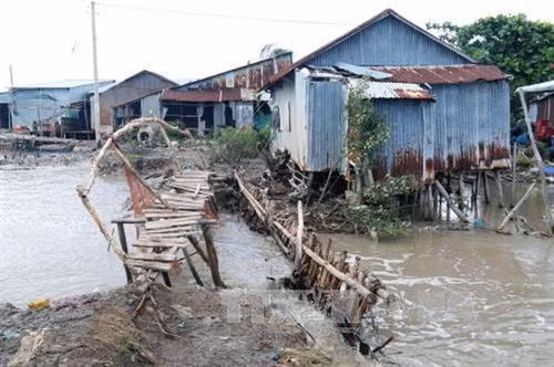 Một đoạn đê quốc phòng bị sóng đánh vở tại xã Vân Khánh, huyện An Minh, tỉnh Kiên Giang. Ảnh: Lê Huy Hải - TTXVN