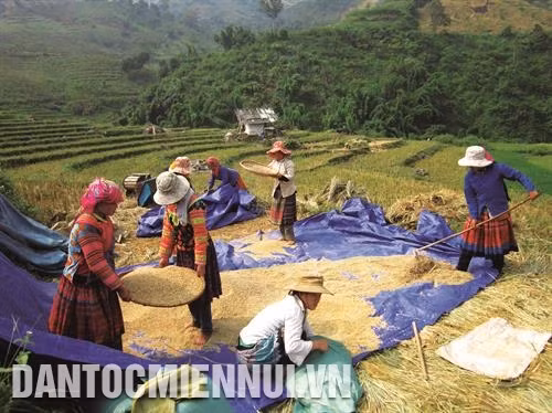 Đồng bào Mông ở huyện Mường Lát giờ đã có cuộc sống no ấm, đủ đầy