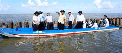 Lãnh đạo tỉnh Cà Mau và các nhà khoa học Bộ NN và PTNT tham quan mô hình kè chống sạt lở ven bờ tây. Ảnh: nguồn nhandan.com.vn