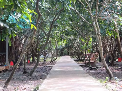 Nhiều hoạt động thiết thực xây dựng nếp sống văn hóa - văn minh đô thị. Ảnh: Ánh Tuyết