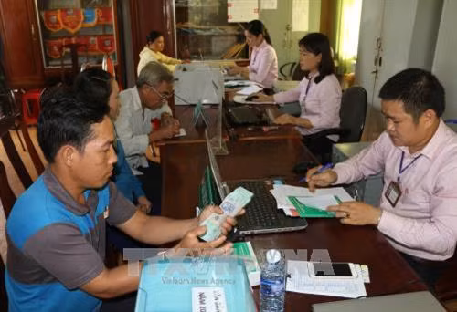 Phong trào nông dân vay vốn làm ăn tăng cao ở Bình Phước. Ảnh: Dương Chí Tưởng -TTXVN