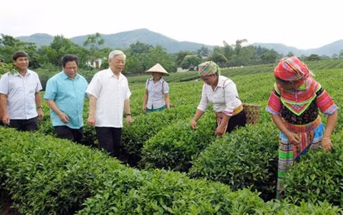 Tổng Bí thư Nguyễn Phú Trọng thăm đồi chè xã Mỹ Bằng, huyện Yên Sơn, tỉnh Tuyên Quang. Ảnh: TTXVN