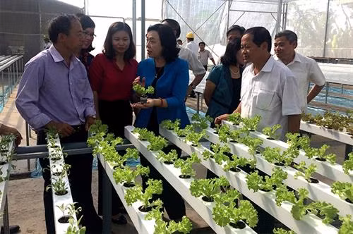 Lãnh đạo TP Hà Nội thăm mô hình trồng rau thủy canh trong nhà lưới tại xã Yên Mỹ, huyện Thanh Trì. Ảnh: nhandan.com.vn