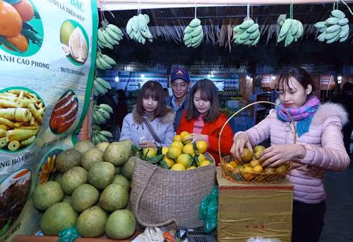 Khách tham quan và mua sắm tại gian hàng nông sản trong tối khai mạc. Ảnh: Quang Quyết - TTXVN