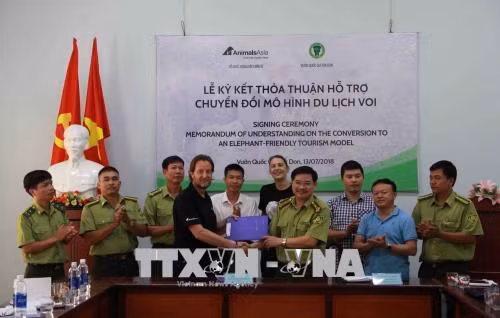 Tổ chức Động vật Châu Á và Vườn Quốc gia Yok Đôn ký kết thỏa thuận hỗ trợ chuyển đổi mô hình du lịch voi. Ảnh: Phạm Cường-TTXVN