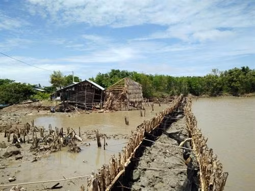 Biến đổi khí hậu đã gây sạt lở nghiêm trọng, người dân ấp Kim Quy (Kiên Giang) phải gia cố bờ kè để chống chịu với sóng biển. Ảnh: Lê Sen - TTXVN