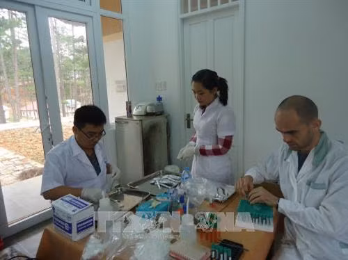 Xử lý mẫu nghiên cứu tại tỉnh Đăk Lăk. Ảnh: TTXVN