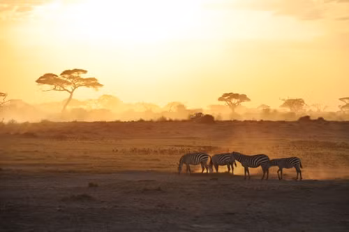 Những công viên hoang dã tại Kenya là nơi mà bạn sẽ đồng ý trả tiền để được thức giấc sớm, đón ánh bình minh trong những “khoảnh khắc vàng”. Trong ảnh là cảnh bình minh trong Vườn Quốc gia Amboseli. Ảnh: Getty Images. Valparai là một thắng cảnh ít được biết đến ở vùng Tamil Nadu của Ấn Độ, nằm ở độ cao hơn 1.000 m so với mực nước biển. Bình minh ở đây không rực rỡ ánh mặt trời như nhiều nơi khác mà thường bị che mờ bởi một làn sương mỏng. Ảnh: Getty Images. Taj Mahal (Ấn Độ) khi bình minh là khoảng thời gian tuyệt vời nhất để tận hưởng không gian yên tĩnh, chưa đông du khách và ngắm ánh mặt trời sớm mai. Ảnh: Getty Images. Cape Town, thủ đô của Cộng hòa Nam Phi, nổi tiếng là một trong những điểm tuyệt nhất trên thế giới để ngắm bình minh. Điểm đến được du khách yêu thích là từ núi Lion's Head. Ảnh: Getty Images. Trong những tháng mùa đông ở Thụy Điển, mặt trời chỉ lộ ra trong một thời gian ngắn vào buổi sáng, đủ để “tô màu” đỏ cho bầu trời, nhưng nhanh chóng biến mất. Ảnh: Shutterstock/Pommy.Anyani. Thành phố Varanasi ở bang Uttar Pradesh thuộc miền bắc Ấn Độ, là một trong những khu vực giàu sắc màu nhất nước này, trong đó có cảnh bình minh, với ánh nắng sớm nhuộm vàng cả vùng sông nước rộng lớn. Ảnh: Getty Images. Hình ảnh đền thờ Angkor Wat của Campuchia, trong ánh bình minh trở nên kỳ ảo hơn khi phía xa là đám mây lớn, phản xạ ánh sáng mặt trời trông tựa như một ngọn lửa đang bùng cháy. Ảnh: Getty Images. Một ngôi làng nhỏ ở Berber (Morocco) dường như được tắm trong một chùm nắng vàng mật ong, trong khi phần còn lại của núi Atlas có màu xám lạnh. Ảnh: Getty Images. Dãy núi Cappadocia của Thổ Nhĩ Kỳ là một trong những nơi mang lại cho du khách niềm cảm hứng bất tận, khi được đón ánh bình minh từ những khinh khí cầu. Ảnh: Shutterstock /Symonenko Viktoriia. Các công viên hoang dã ở châu Phi thường đưa du khách đi thăm vào lúc bình minh, vì đó là thời gian tốt nhất để ngắm cuộc sống hoang dã. Ảnh: Annabel Fenwick Elliott. Thung lũng Bunyeroo ở dãy Flinders hùng vĩ của Nam Australia trở nên bừng sáng dưới ánh sáng mặt trời đầu tiên trong ngày. Ảnh: Getty Images.