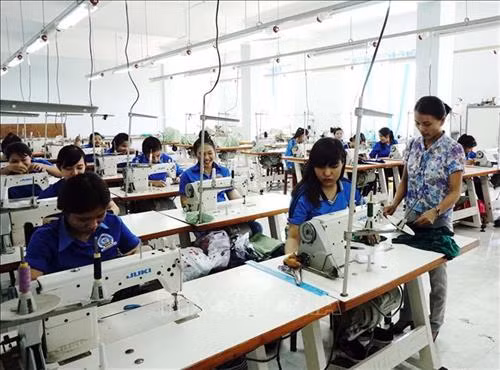 Dạy may công nghiệp cho lao động địa phương tại trường Cao đẳng nghề Ninh Thuận. Ảnh: Công Thử - TTXVN