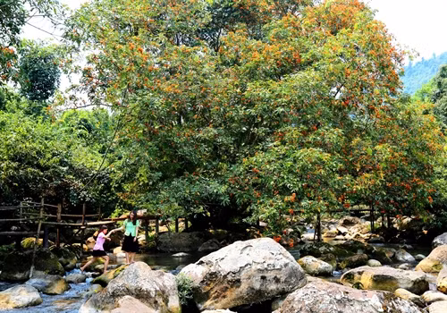 Du khách đến suối nước Moọc để chiêm ngưỡng vẻ hoang sơ của núi rừng, của hoa vàng anh.