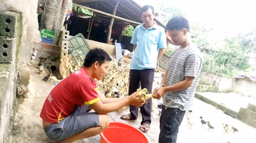 “Bà đỡ” của đồng bào nghèo ảnh 3