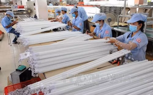 Sản xuất bóng đèn led theo công nghệ tiên tiến của Nhật Bản tại Công ty Cổ phần bóng đèn Điện Quang, Thành phố Hồ Chí Minh Ảnh: An Hiếu - TTXVN