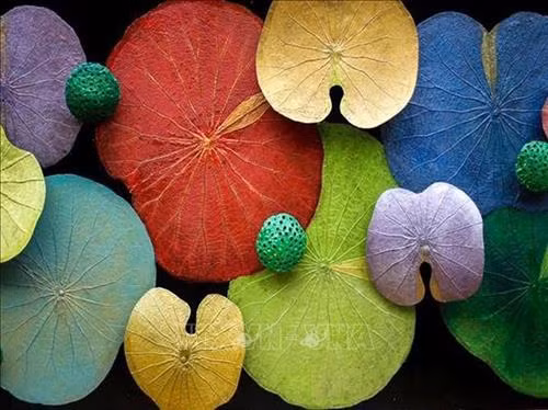 Tranh sen của Nguyễn Thanh Thảo sẽ ược trưng bày tại Festival nghề truyền thống Huế 2019. Ảnh: Quốc Việt - TTXVN